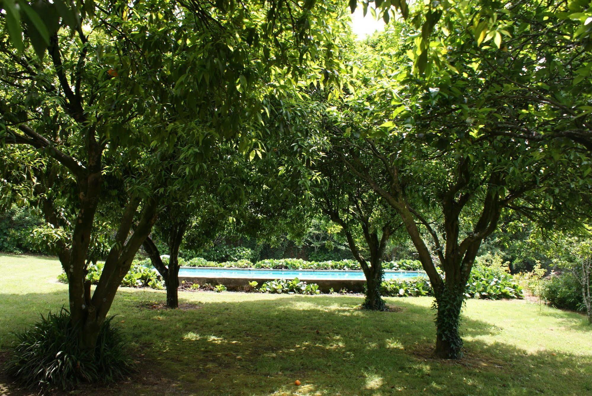 Casa Dos Assentos De Quintiaes Bed and Breakfast Barcelos Buitenkant foto
